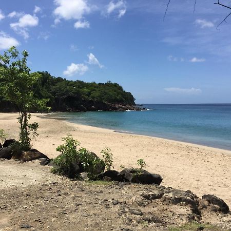 Apartamento Les Lianes De Corail Deshaies Exterior foto