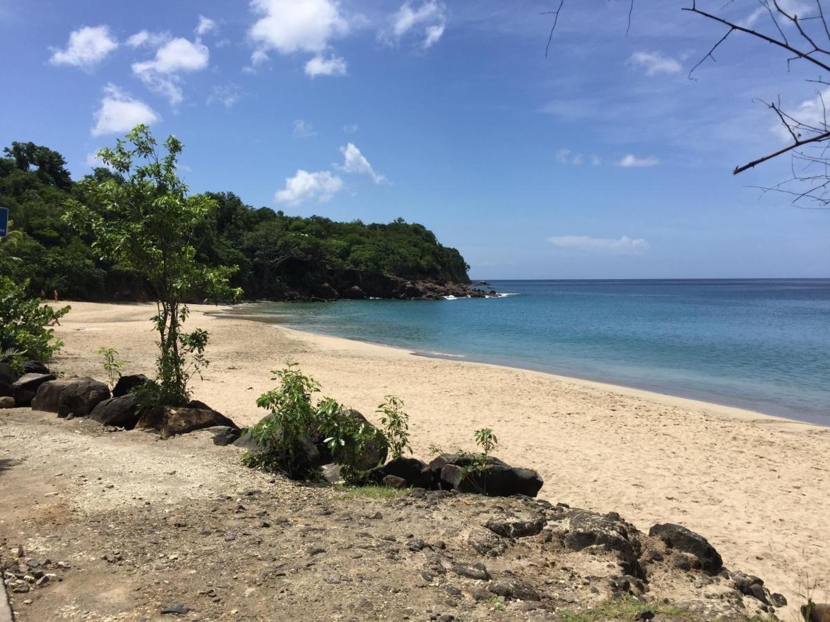 Apartamento Les Lianes De Corail Deshaies Exterior foto